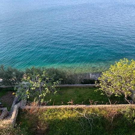 Beautiful Magnolia-near The Sea Split